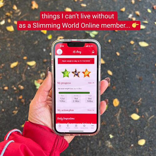 things I can't live without as a Slimming World Online member...